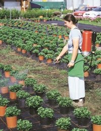 Actie Birchmeier sproeier Flox - Iris - Senior