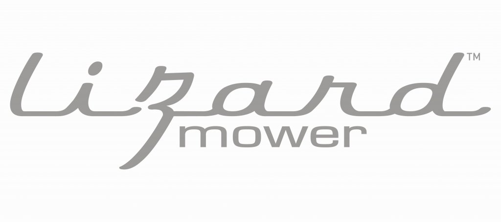 Lizard logo