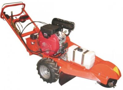 Stronkenfrees Caravaggi CA SG-SP-24
