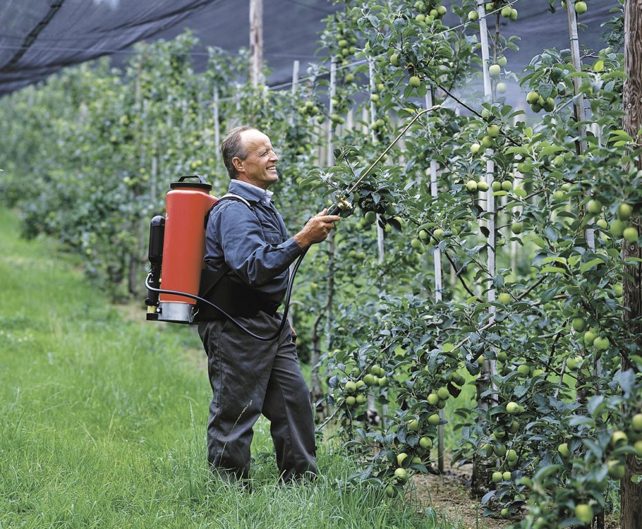 Birchmeier actiefoto appelbomen