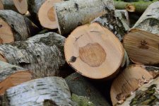 machines voor HOUT bewerking