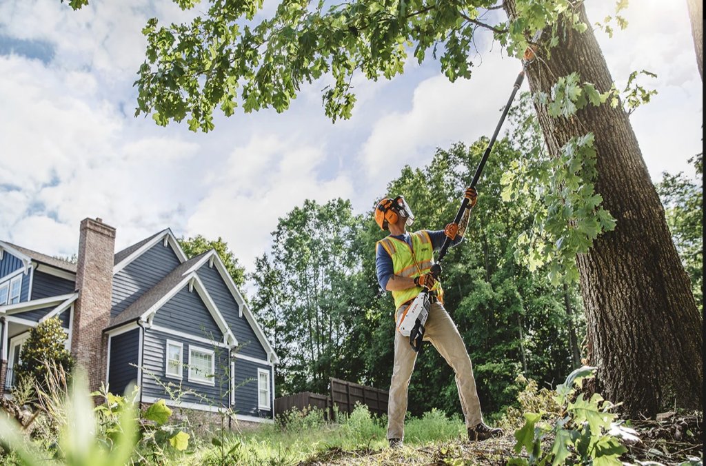 STIHL HTA 135 IN ACTIE