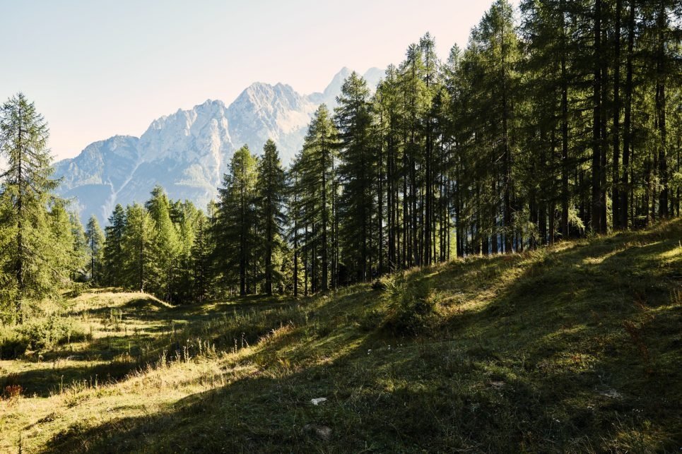 STIHL LANDSCHAP